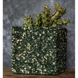 Donica z marmuru kwadratowa 15x15x15 cm Marbi - Green 1 | Ręcznie robiona