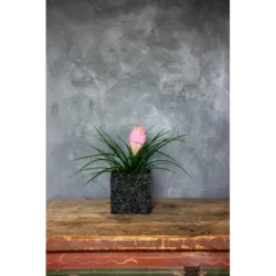 Czarna i zielona donica kamienna 15x15x15 cm Marbi - Black & Green | Styl