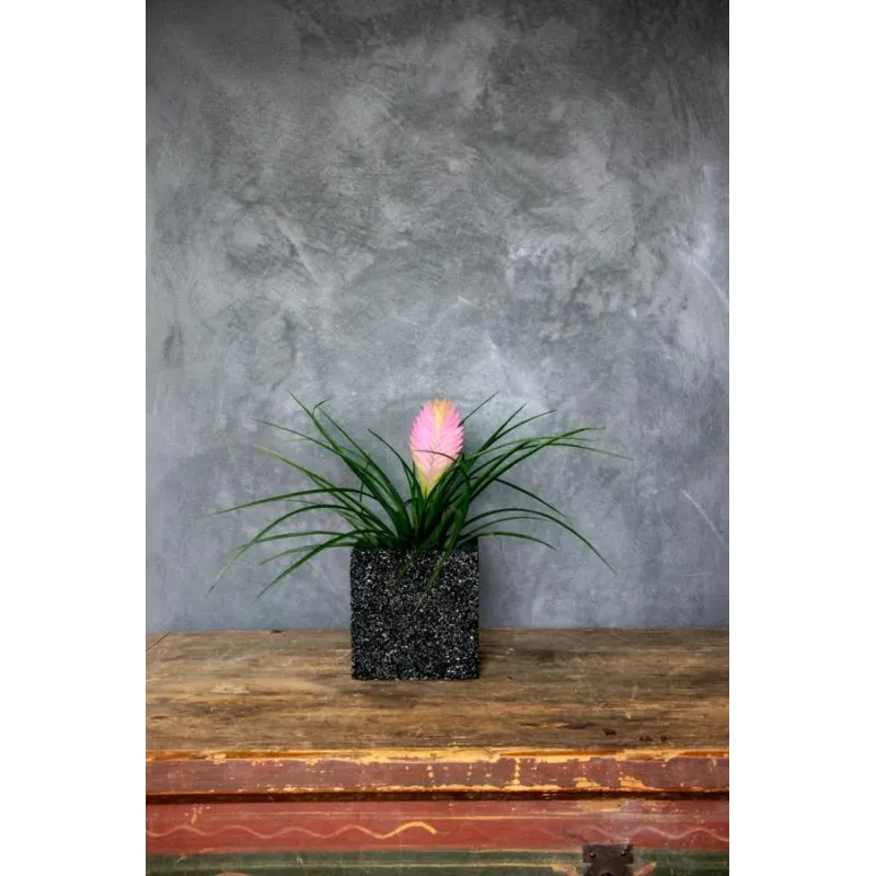 Czarna i zielona donica kamienna 15x15x15 cm Marbi - Black & Green | Styl