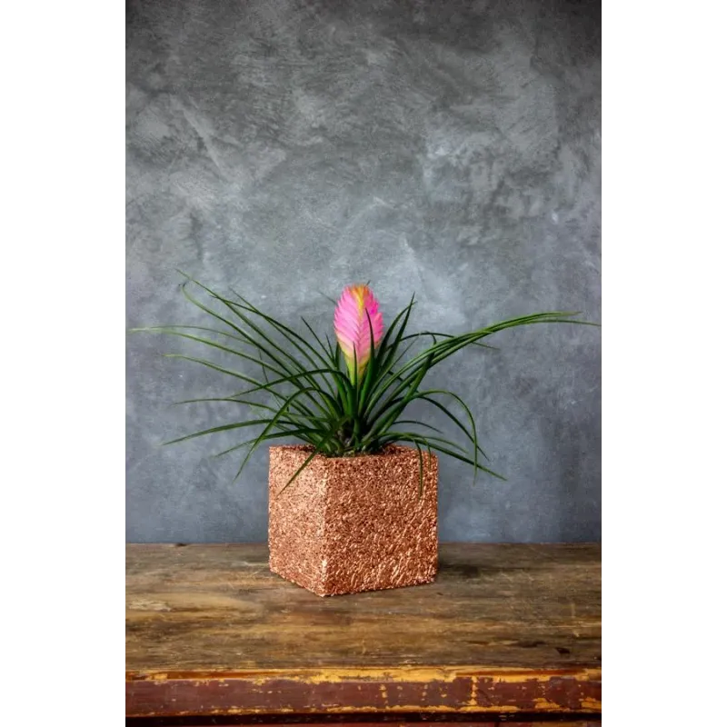 Miedziana donica kamienna 15x15x15 cm Marbi - Copper | Unikalny design i elegancja