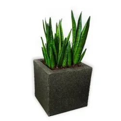 Czarna donica nowoczesna 30x30x30 cm Modern - Black 1 | Minimalistyczny design i trwałość