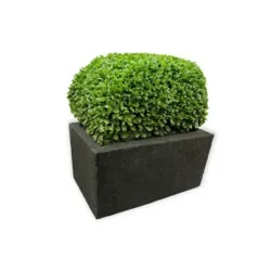 Żółta donica prostokątna 60x32x34 cm Modern – Yellow D3 | Nowoczesny design i trwałość