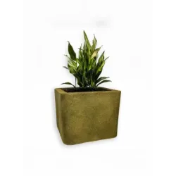 Srebrna donica kwadratowa 50x50x40 cm Modern – Daisy S | Minimalizm i elegancja