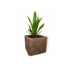 Srebrna donica kwadratowa 50x50x40 cm Modern – Daisy S | Minimalizm i elegancja