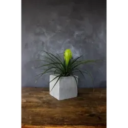 Donica betonowa kwadratowa szara 15x15x15 cm – Dodo Square Grey | Ręcznie wykonana
