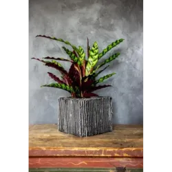 Designerska donica betonowa 26x26x20 cm Lindas - Silver S | Unikalny styl i trwałość