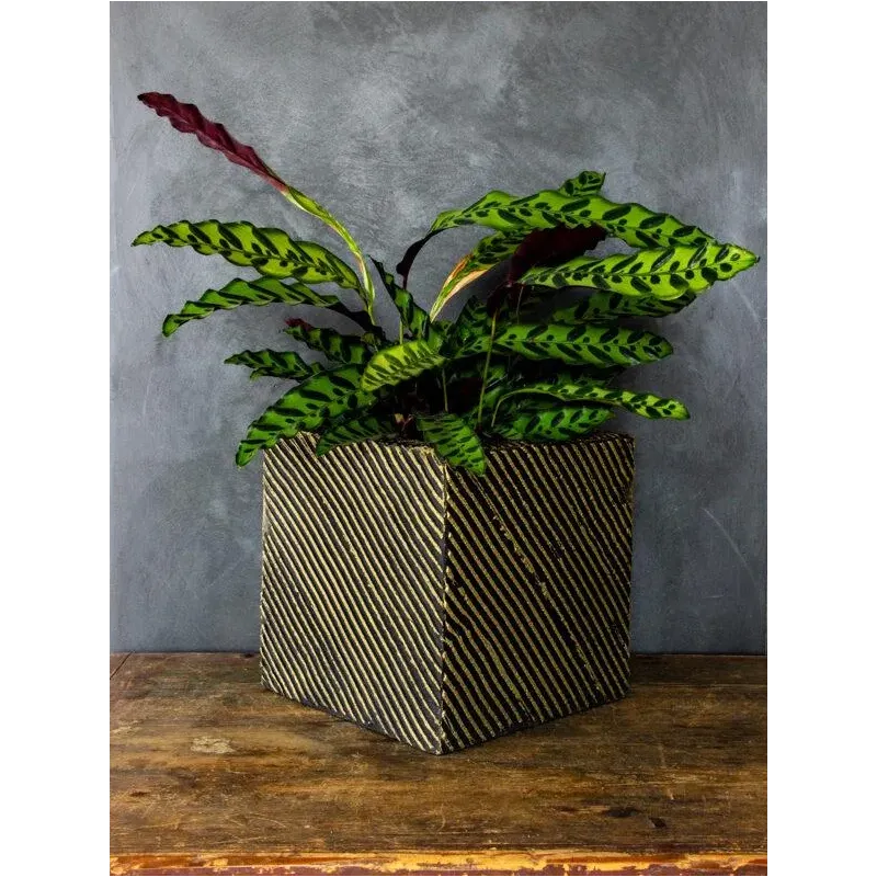 Brązowa donica nowoczesna 30x30x30 cm Meggi - Bronze | Elegancja i styl w jednym