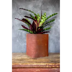 Donica cortenowa 27x27x30 cm Kortes - Rust L | Surowa elegancja w stylu industrialnym