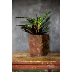 Donica corten 27x27x30 cm Kortes - Blue L | Industrialny design i surowy styl