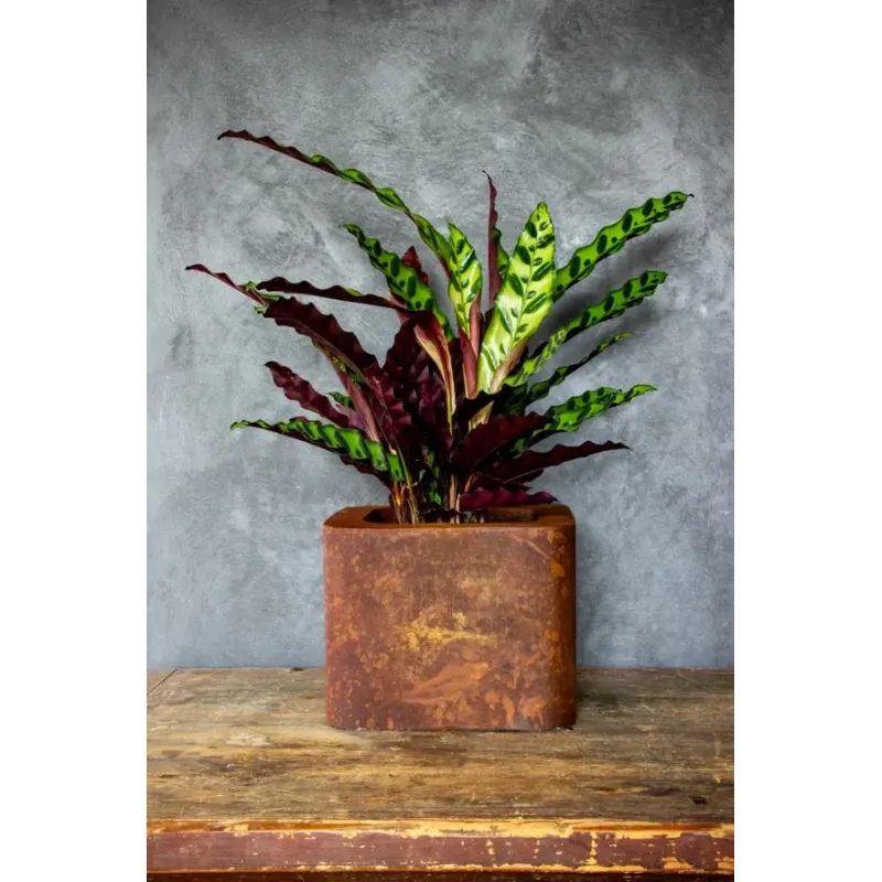 Loftowa donica 25x25x21 cm Kortes - Rust S | Surowy design i wyjątkowy styl
