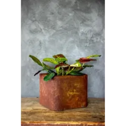 Loftowa donica 25x25x21 cm Kortes - Rust S | Surowy design i wyjątkowy styl