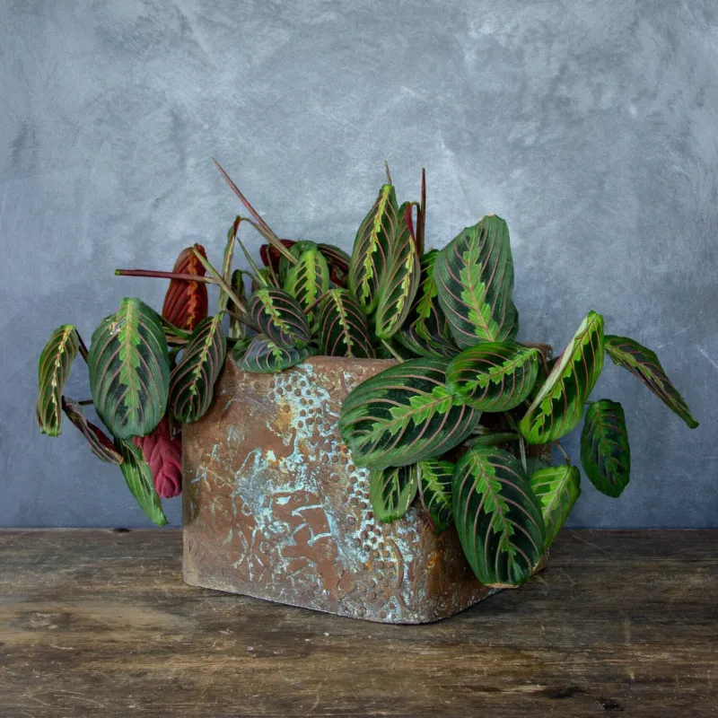 Osłonka na doniczkę 25x25x21 cm z ornamentem w stylu loft